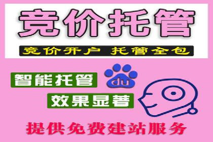 成功SEM服务案例：优化广告投放